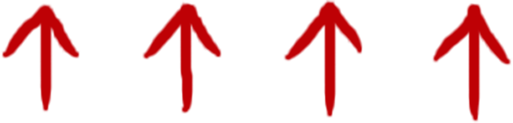 VivaSlim